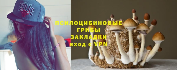 крисы Лабытнанги