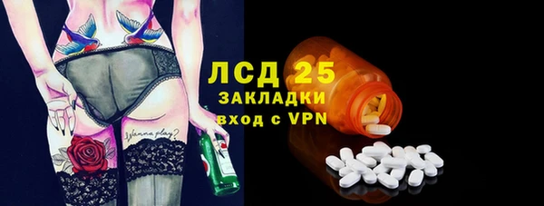 хмурый Лагань