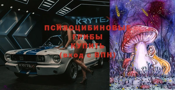 стафф Ладушкин