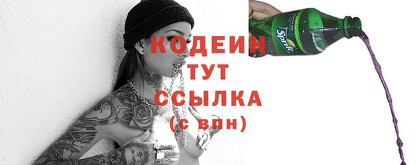 крисы Лабытнанги