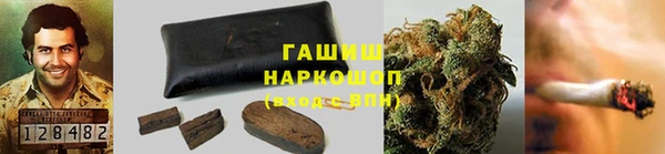 стафф Ладушкин