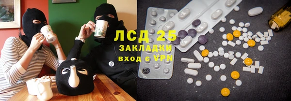 хмурый Лагань