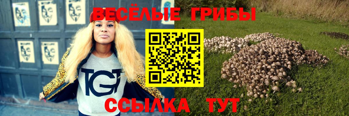 Кудымкар  Псилоцибиновые грибы MAGIC MUSHROOMS  Галлюциногенные грибы Psilocybine cubensis  Вход с VPN 