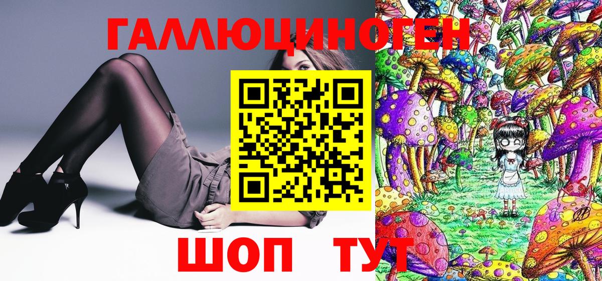 Галлюциногенные грибы Psilocybine cubensis Кудымкар