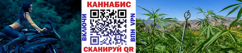 Бошки Шишки индика  Кудымкар 